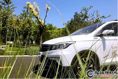 1501146885205290.jpg 2.jpg